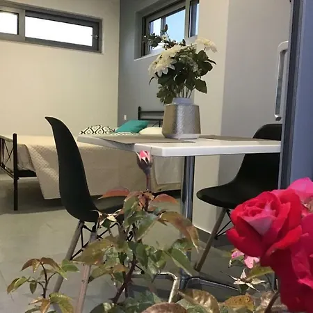 アパート Summer - Zakynthos!! アルガッシ